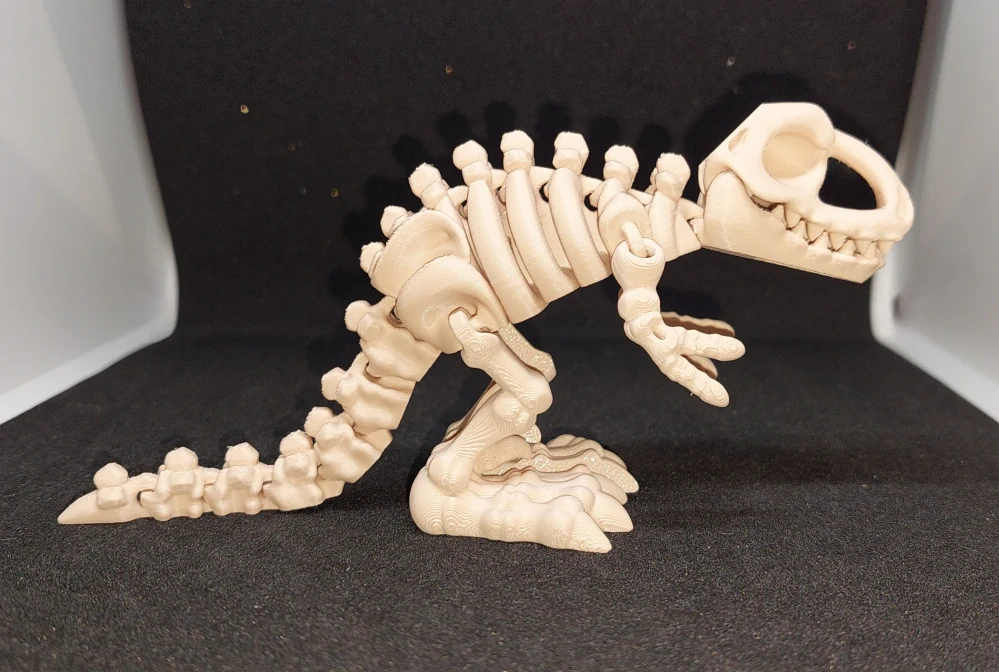 Kostra dinosaura