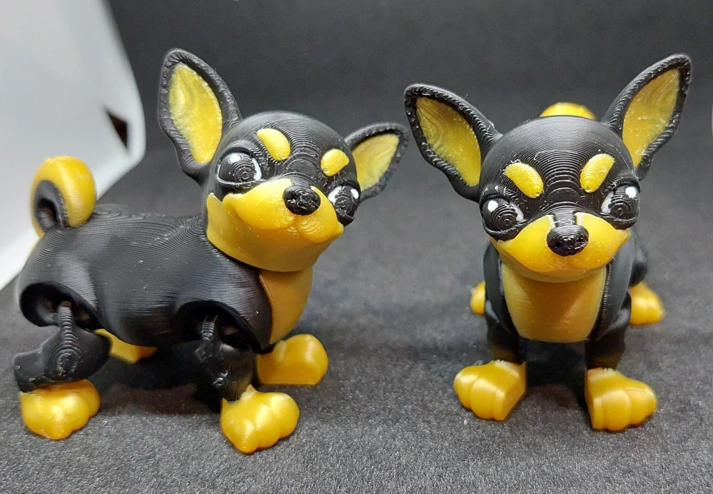 Chihuahua