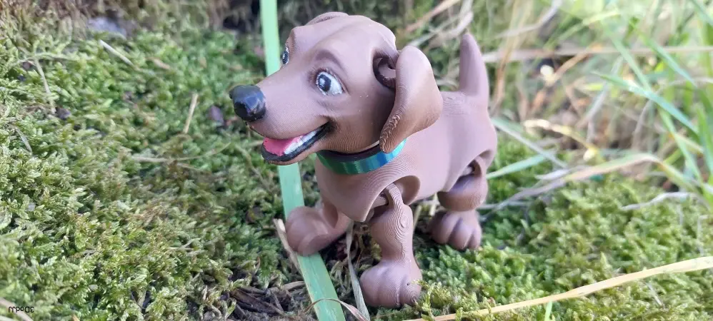Labradorský retrívr