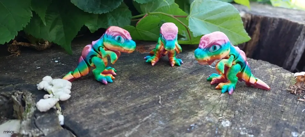 Rex mini