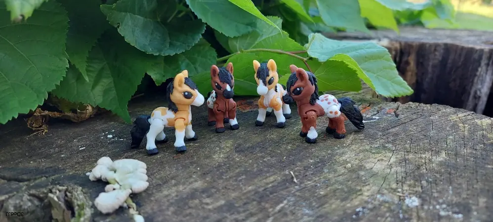 Koník mini