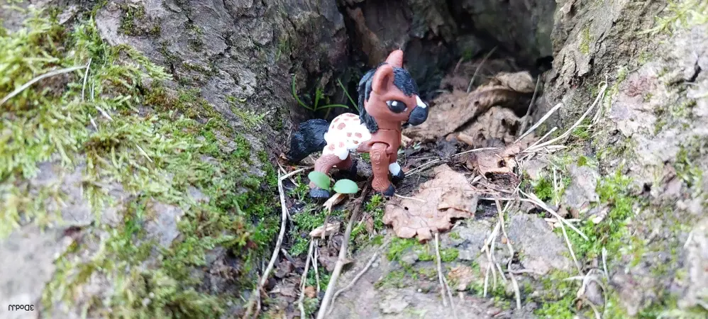 Koník mini
