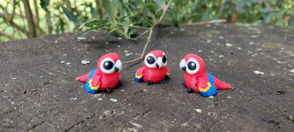 Papoušek mini
