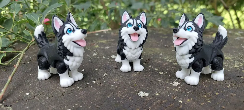 Siberian Husky