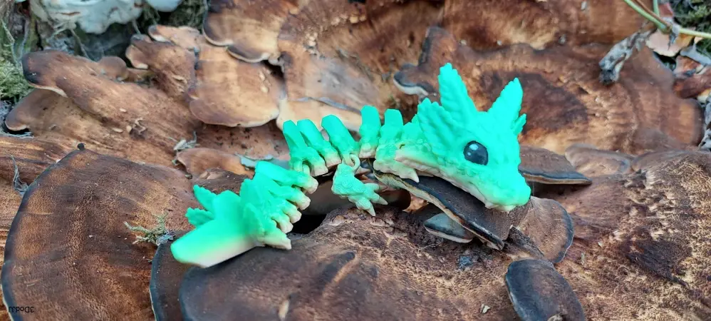 Axolotl baby dragon