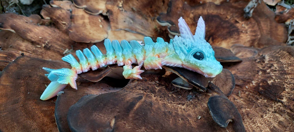 Axolotl baby dragon