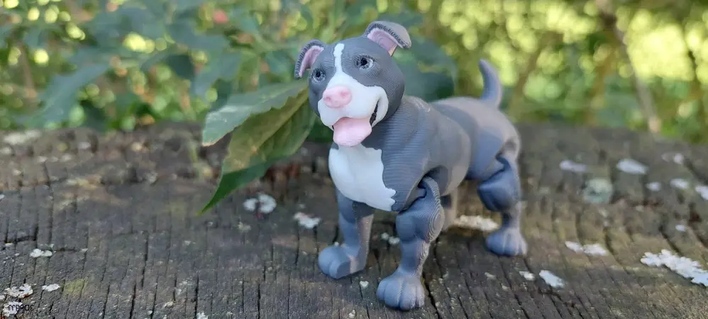 Staford nebo stafbul růžový čumák