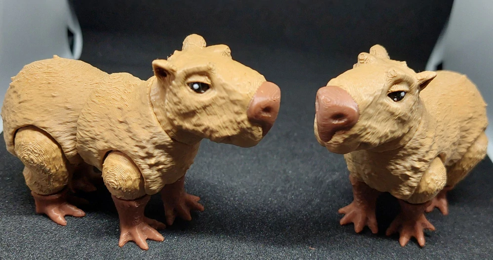 Kapybara