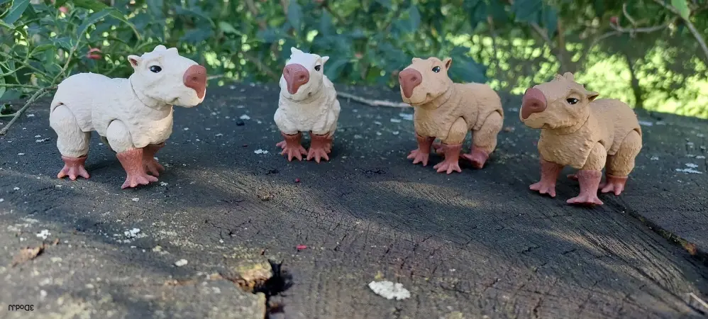 Kapybara