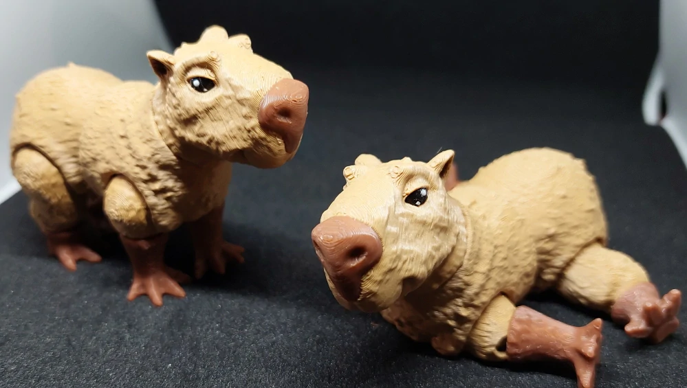 Kapybara