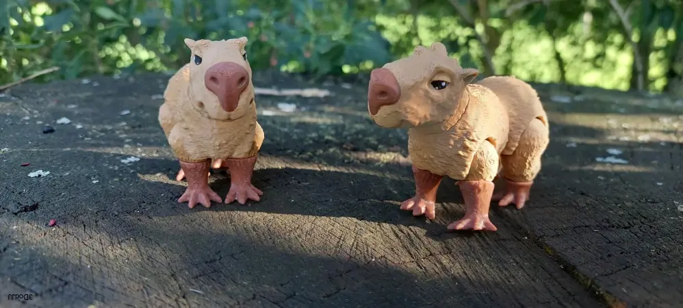 Kapybara