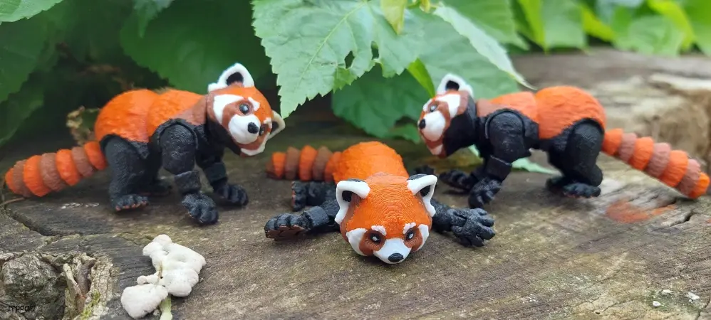 Červená panda