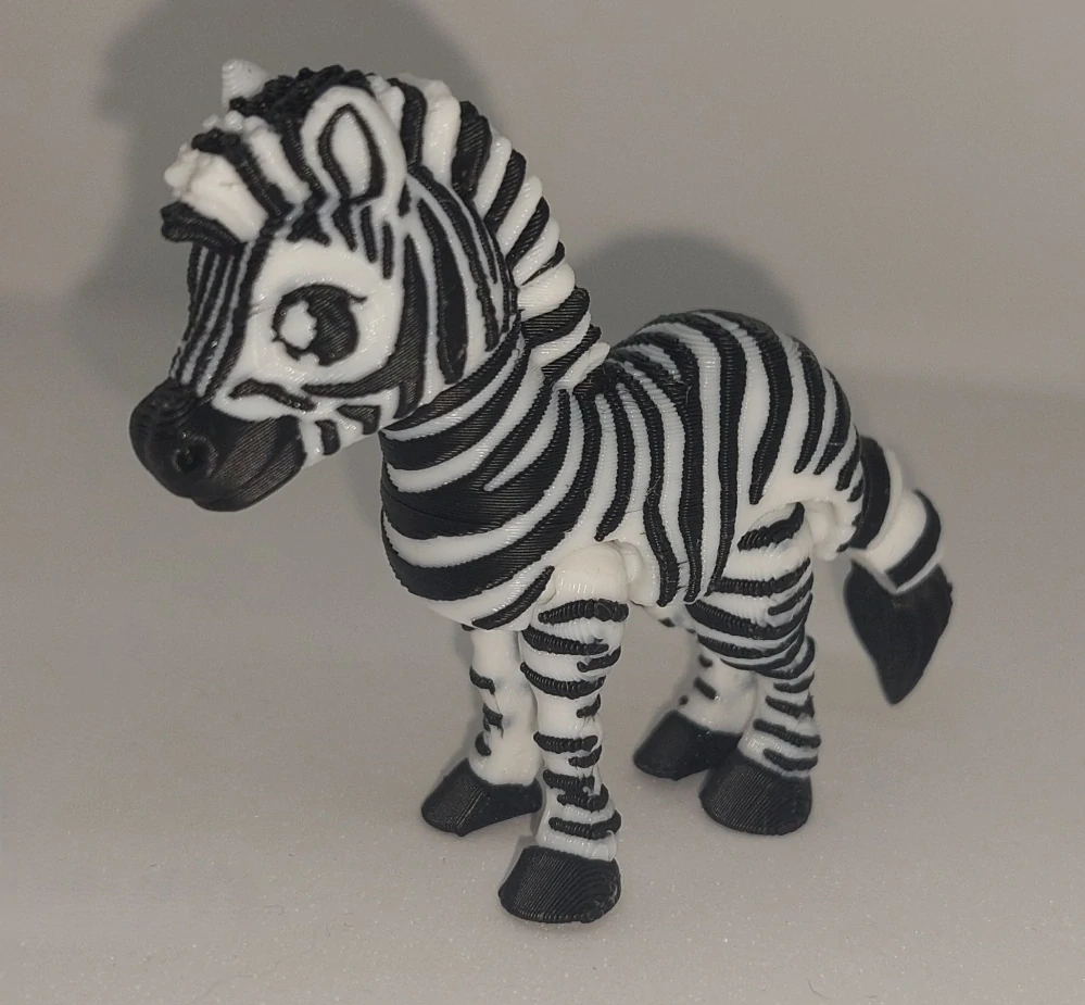 Zebra