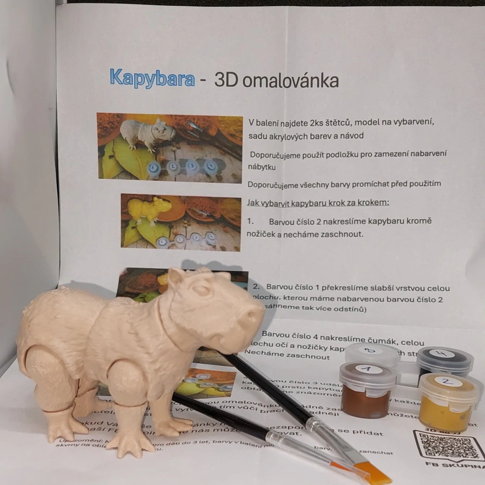 Kapybara - 3D omalovánka