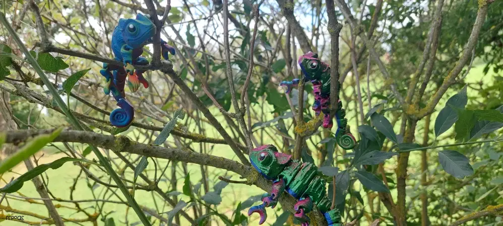 Chameleon