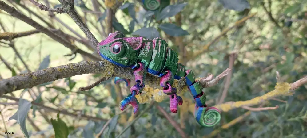 Chameleon tricolora lesklá