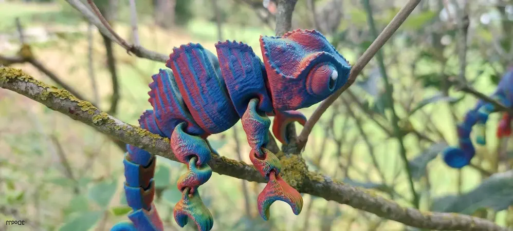 Chameleon tricolora matná