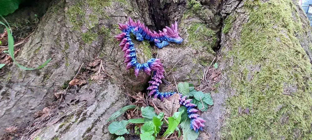Crystal dragon XXL