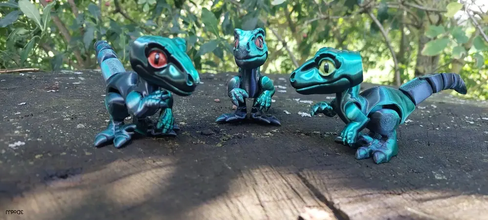 Raptor