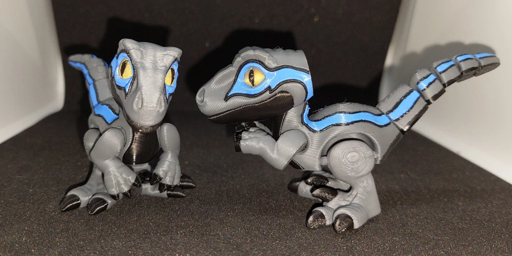 Raptor Blue