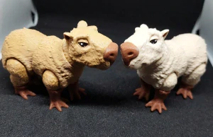Kapybara