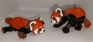 Červená panda