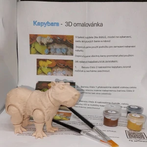 Kapybara - 3D omalovánka