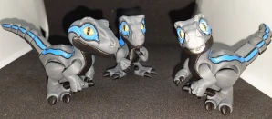 Raptor Blue
