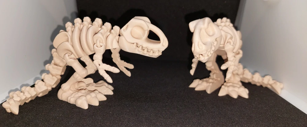 Kostra dinosaura