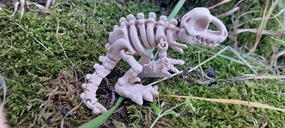 Kostra dinosaura