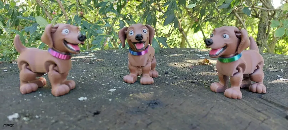 Labradorský retrívr