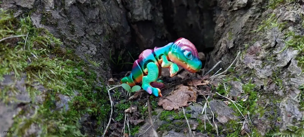 Rex mini