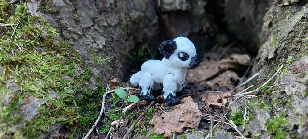 Kráva skotská mini