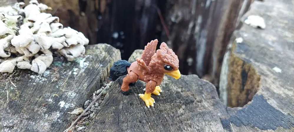 Hipogryf mini