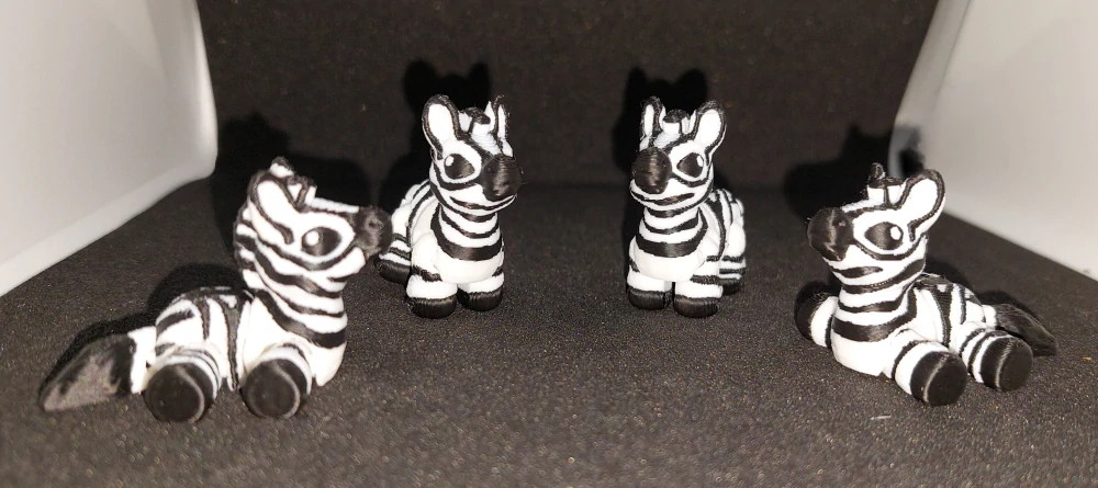 Zebra mini