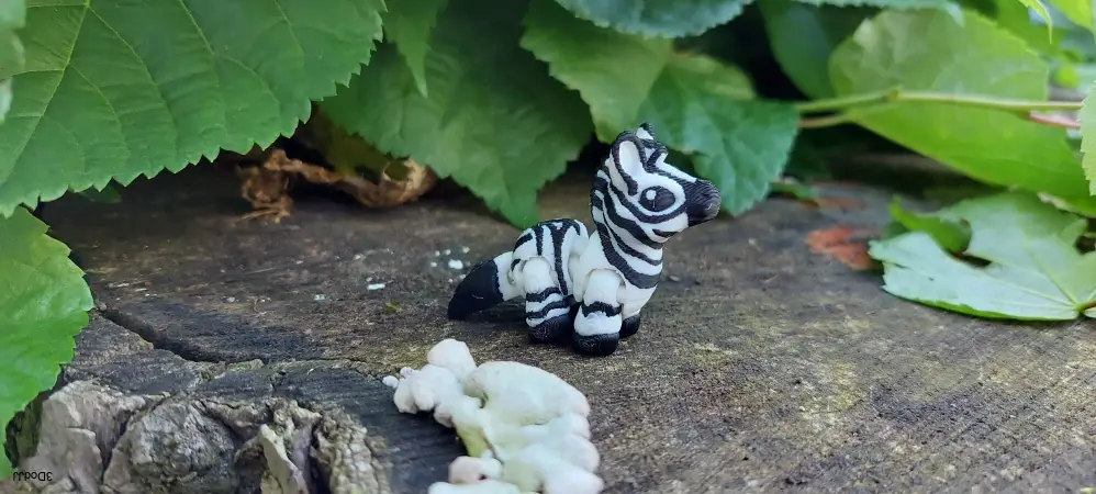 Zebra mini