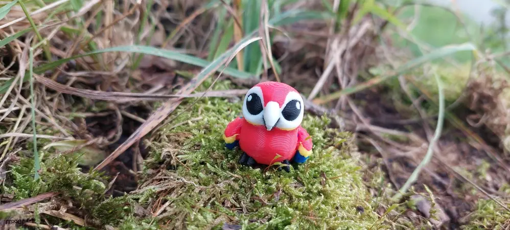 Papoušek mini