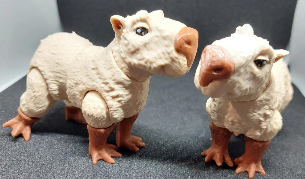 Kapybara