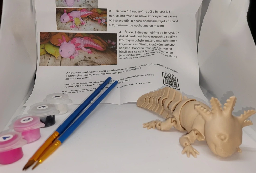 Axolotl - 3D omalovánka- vada