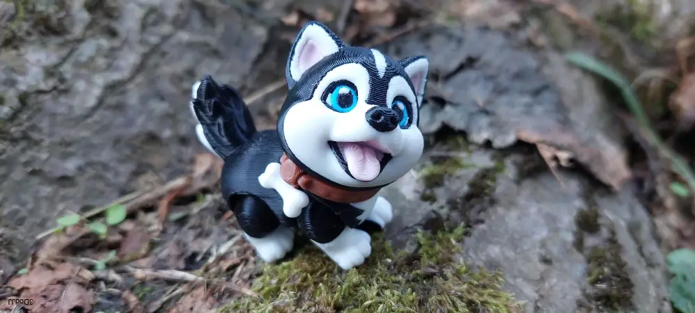 Husky štěně