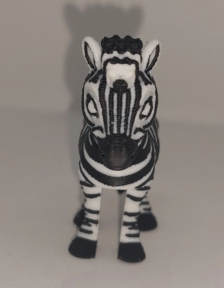 Zebra