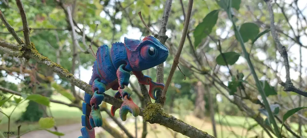 Chameleon