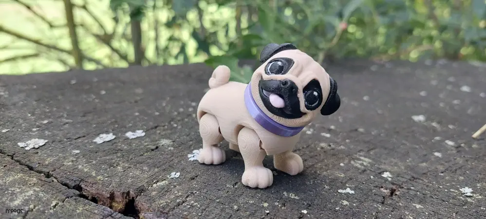 Mops