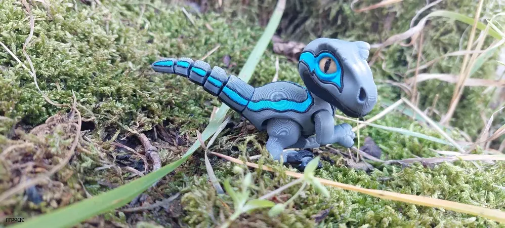 Raptor Blue