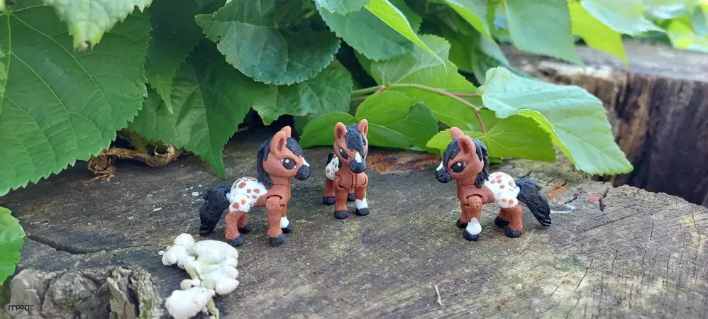 Koník mini