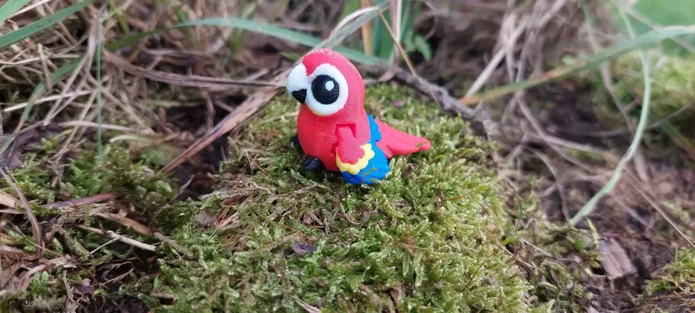 Papoušek mini
