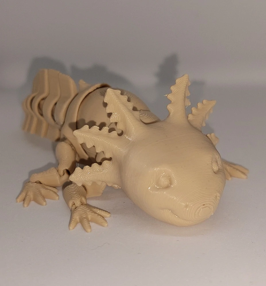 Axolotl - 3D omalovánka- vada
