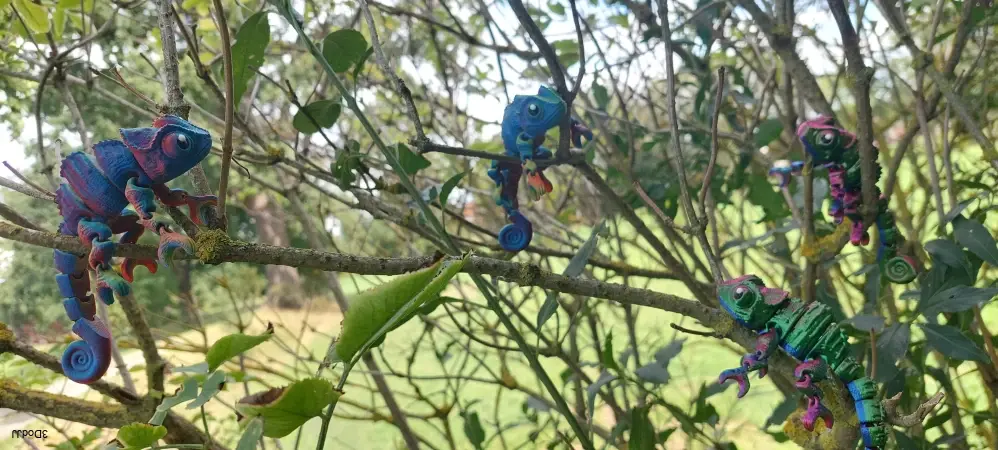 Chameleon
