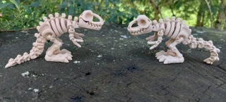 Kostra dinosaura