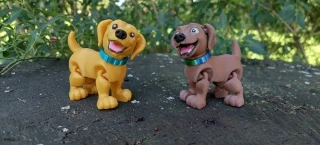 Labradorský retrívr